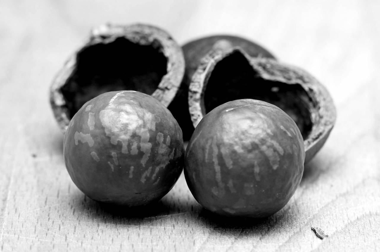   group  white  fruit  isolated  food  produce  — free black and white photo