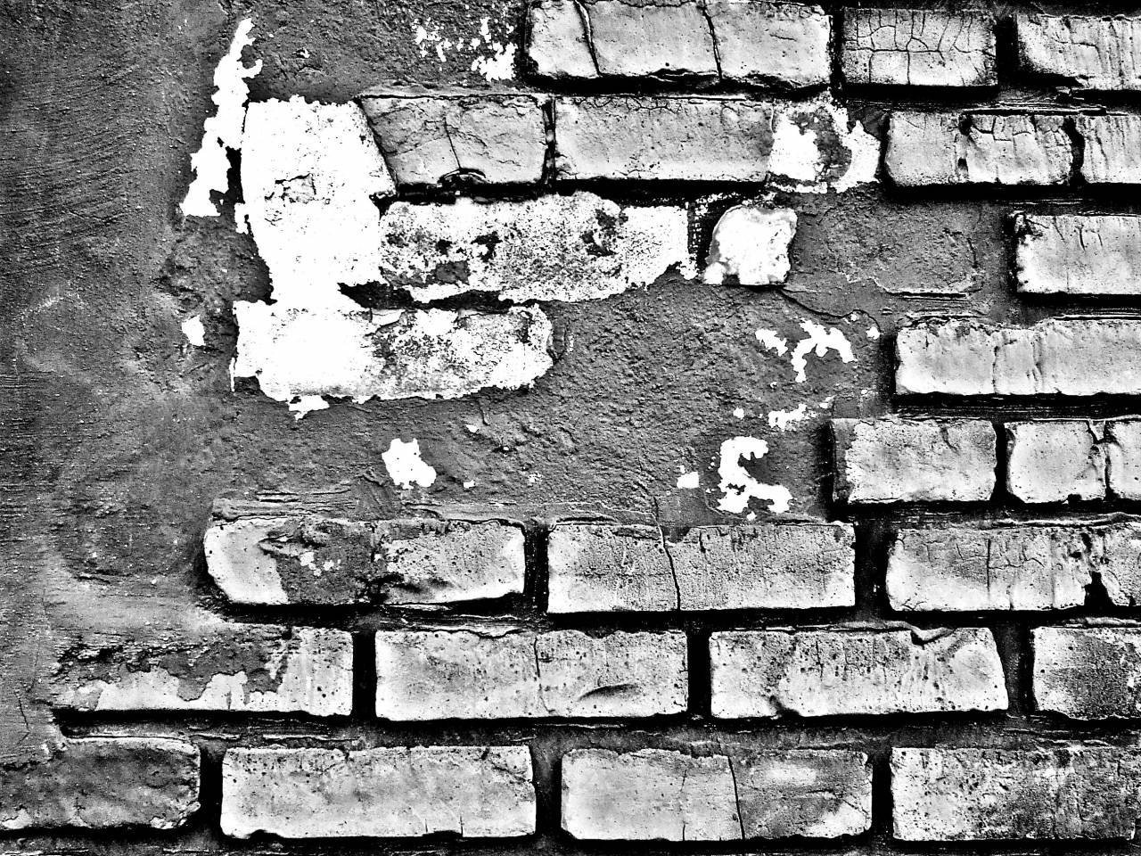  grungy  black and white  structure  house  — free black and white photo