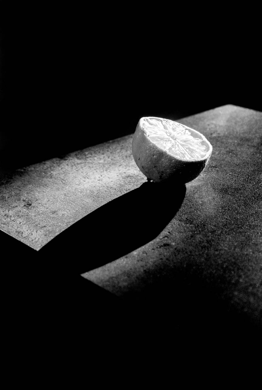   hand  light  wood  leaf  orange  color  — free black and white photo
