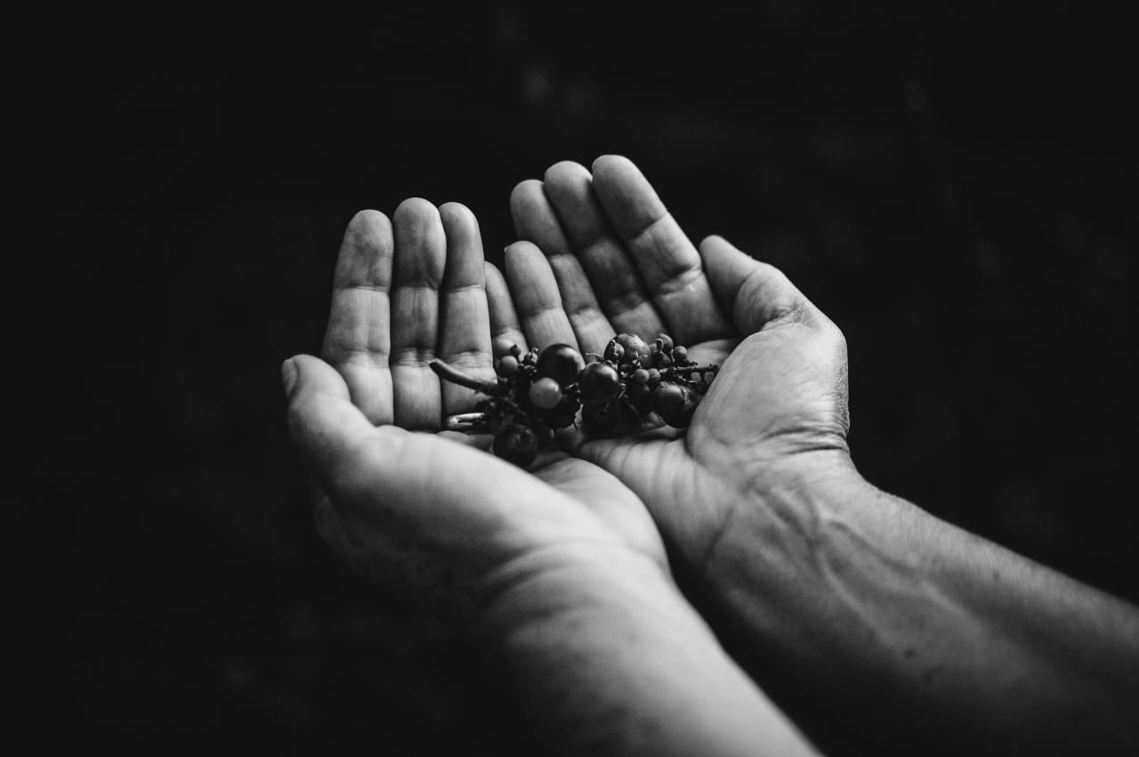   hand  nature  black and white  finger  — free black and white photo