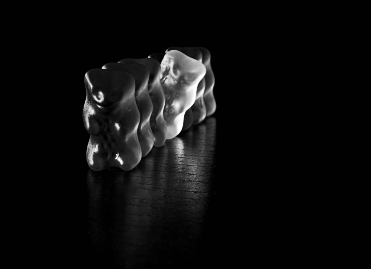   light  sweet  flower  petal  bear  food  — free black and white photo