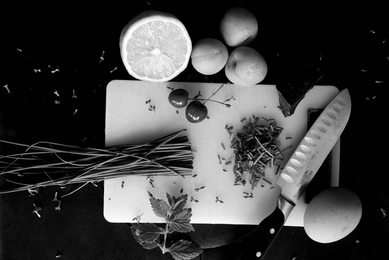   nature  plant  flower  home  meal  — free black and white photo