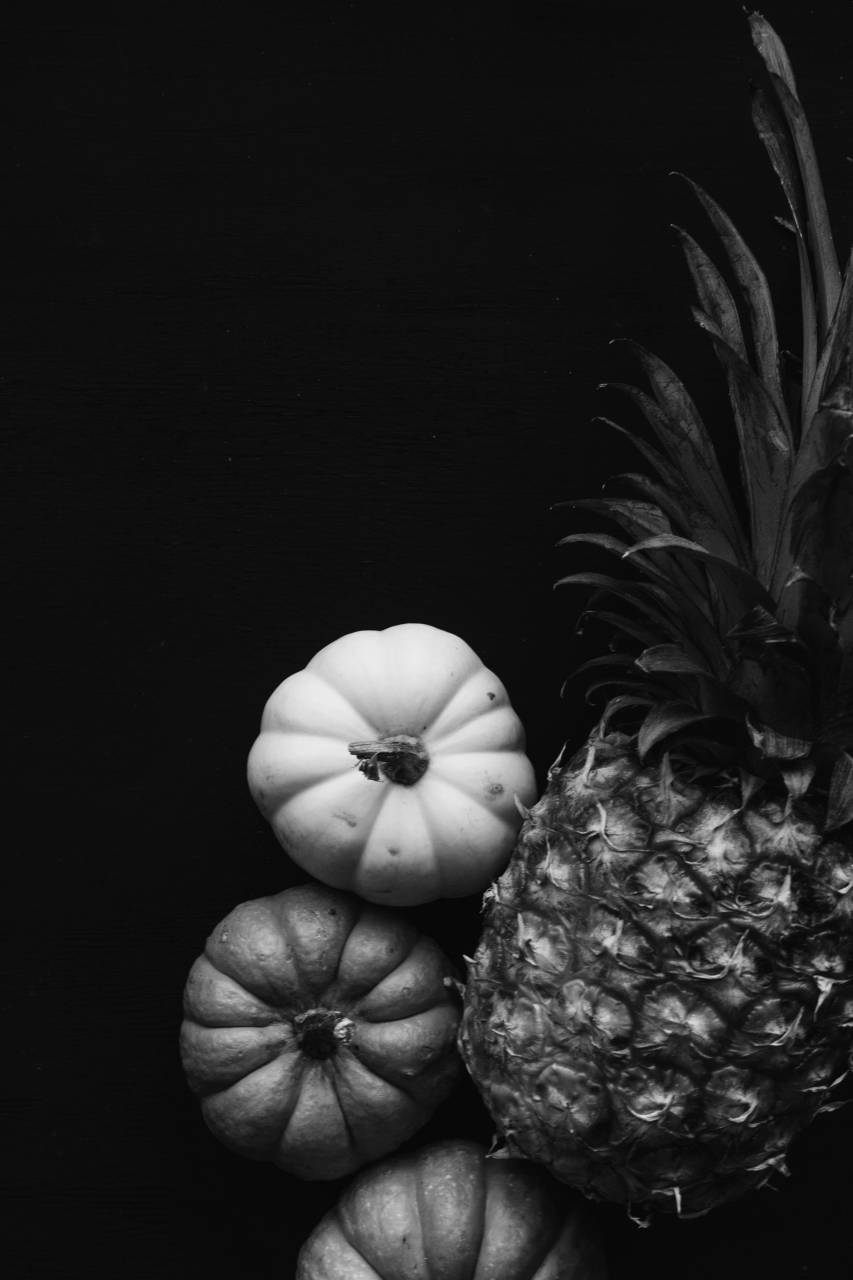   plant  fruit  leaf  flower  dark  decoration  — free black and white photo