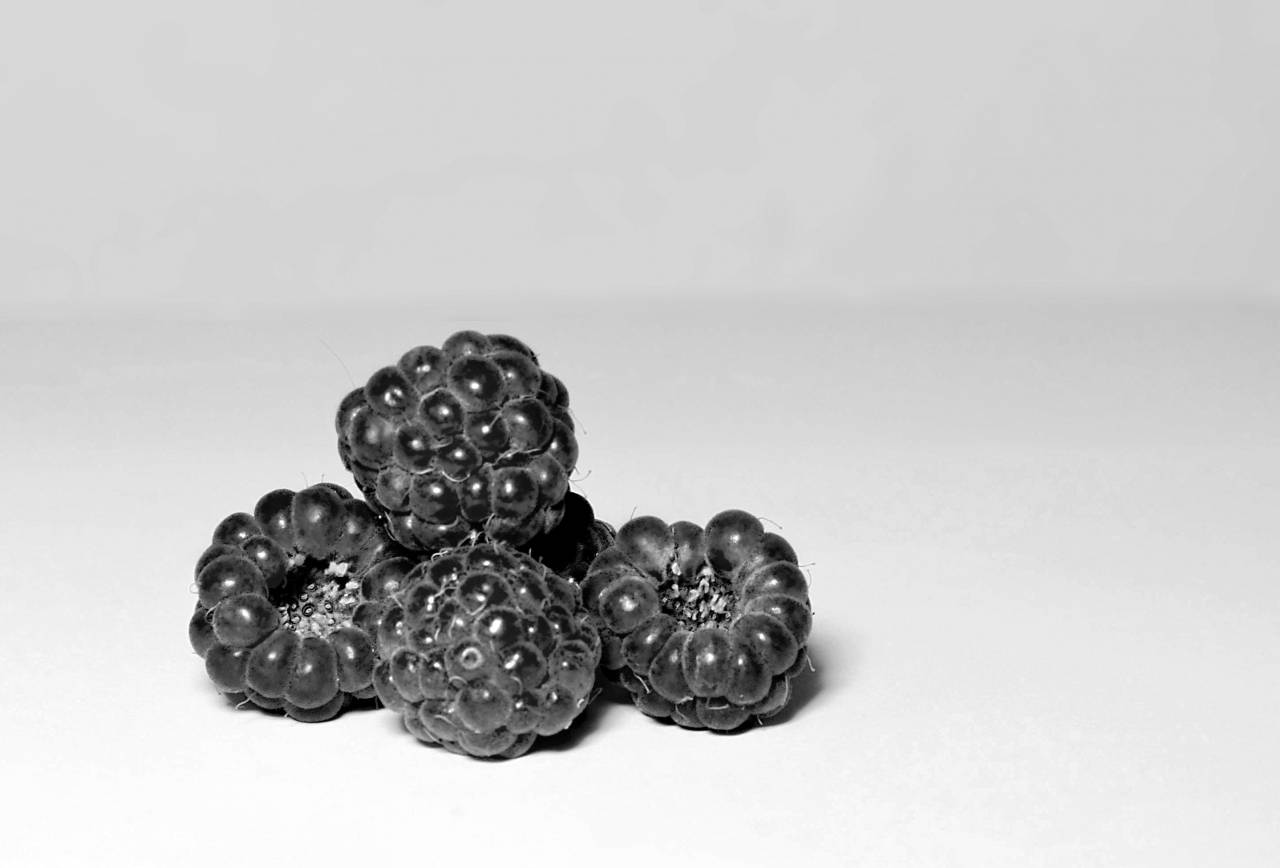   raspberry  fruit  berry  flower  petal  — free black and white photo
