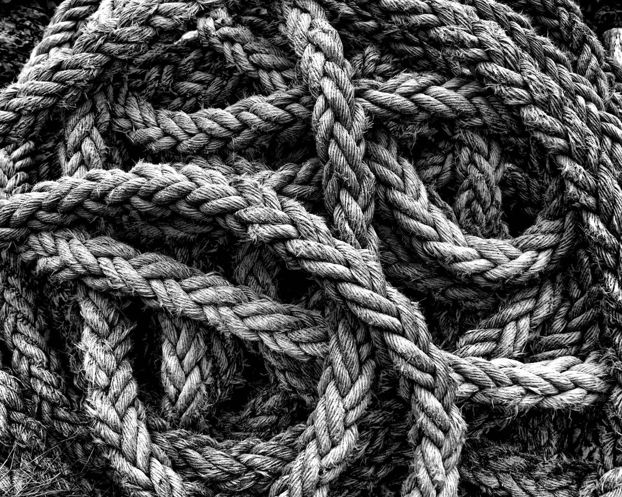   rope  texture  rein  net  hardware accessory  — free black and white photo
