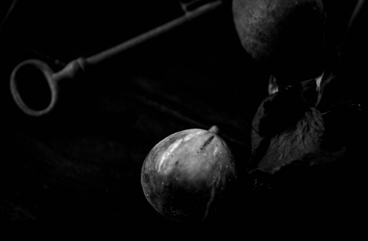   rose  figs  dark  fall  harmony  cool  hot  — free black and white photo