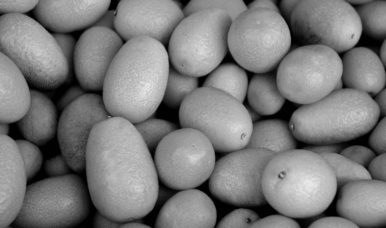   sunlight  food  produce  healthy  market  — free black and white photo