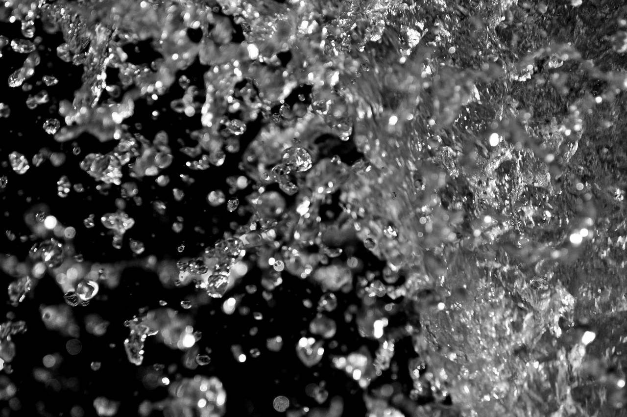   water  branch  black and white  wet  clear  — free black and white photo