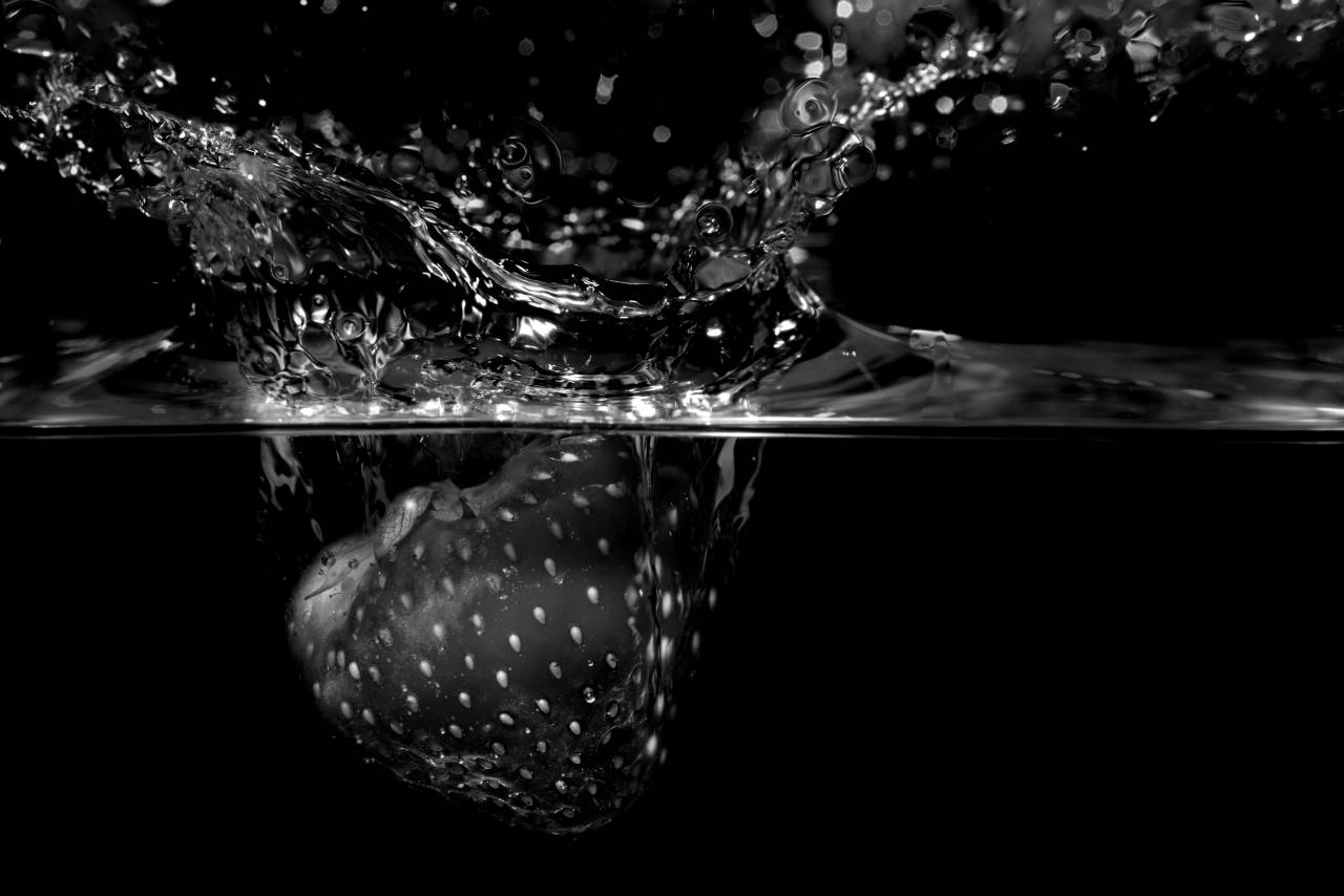   water  drop  liquid  fruit  sweet  flower  — free black and white photo