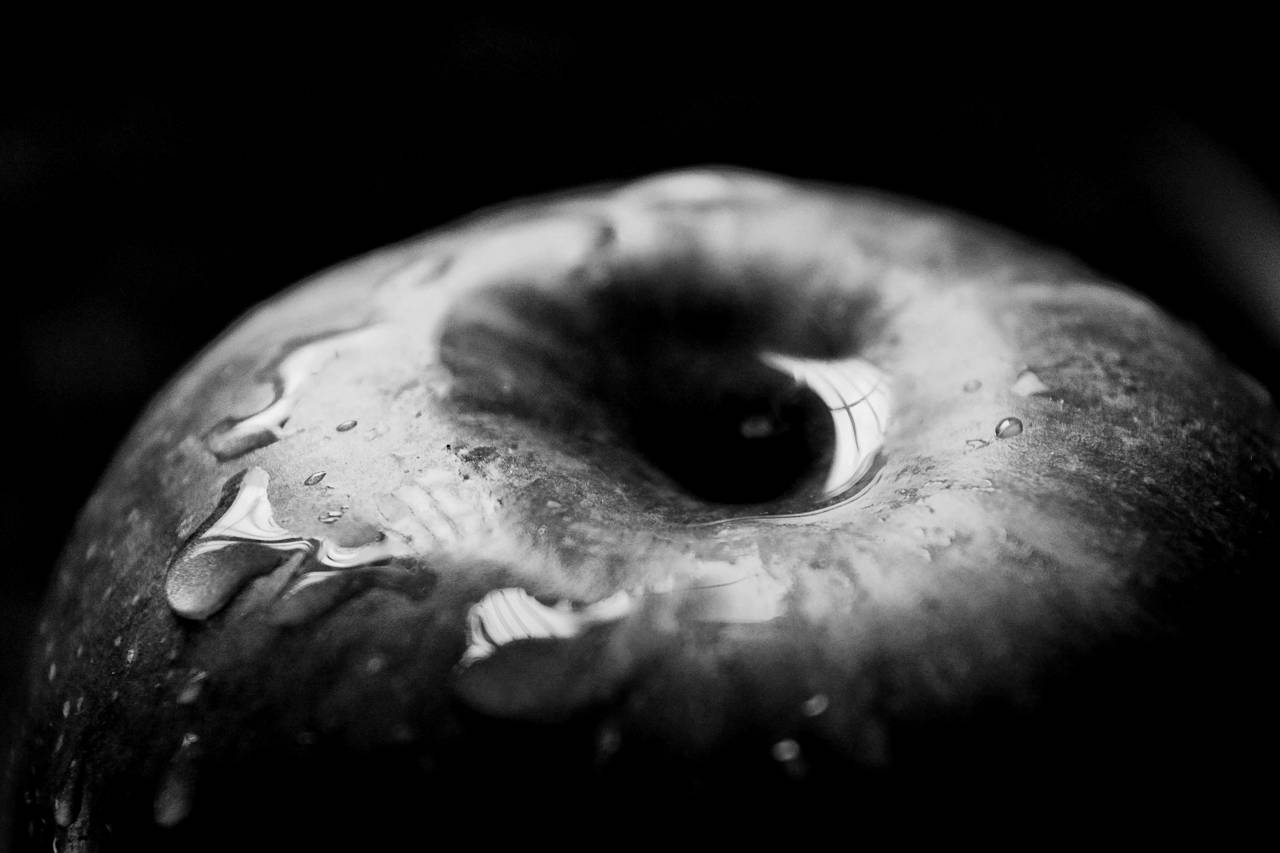   apple  fruit  flower  food  red  produce  — free black and white photo
