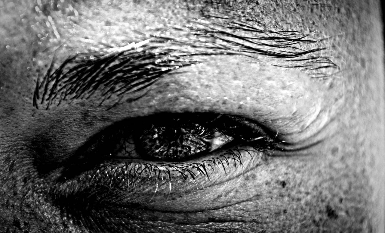   black and white  macro  darkness  close up  — free black and white photo