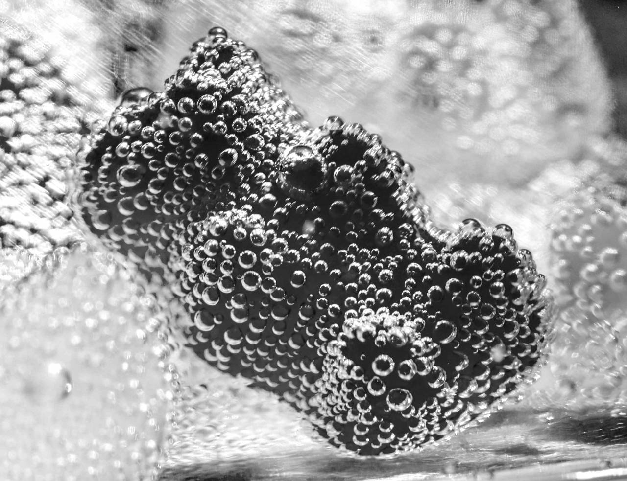   petal  colorful  close up  candy  sweetness  — free black and white photo