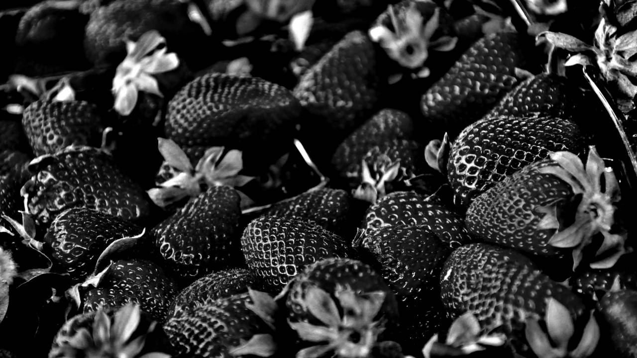   plant  fruit  berry  food  red  produce  — free black and white photo
