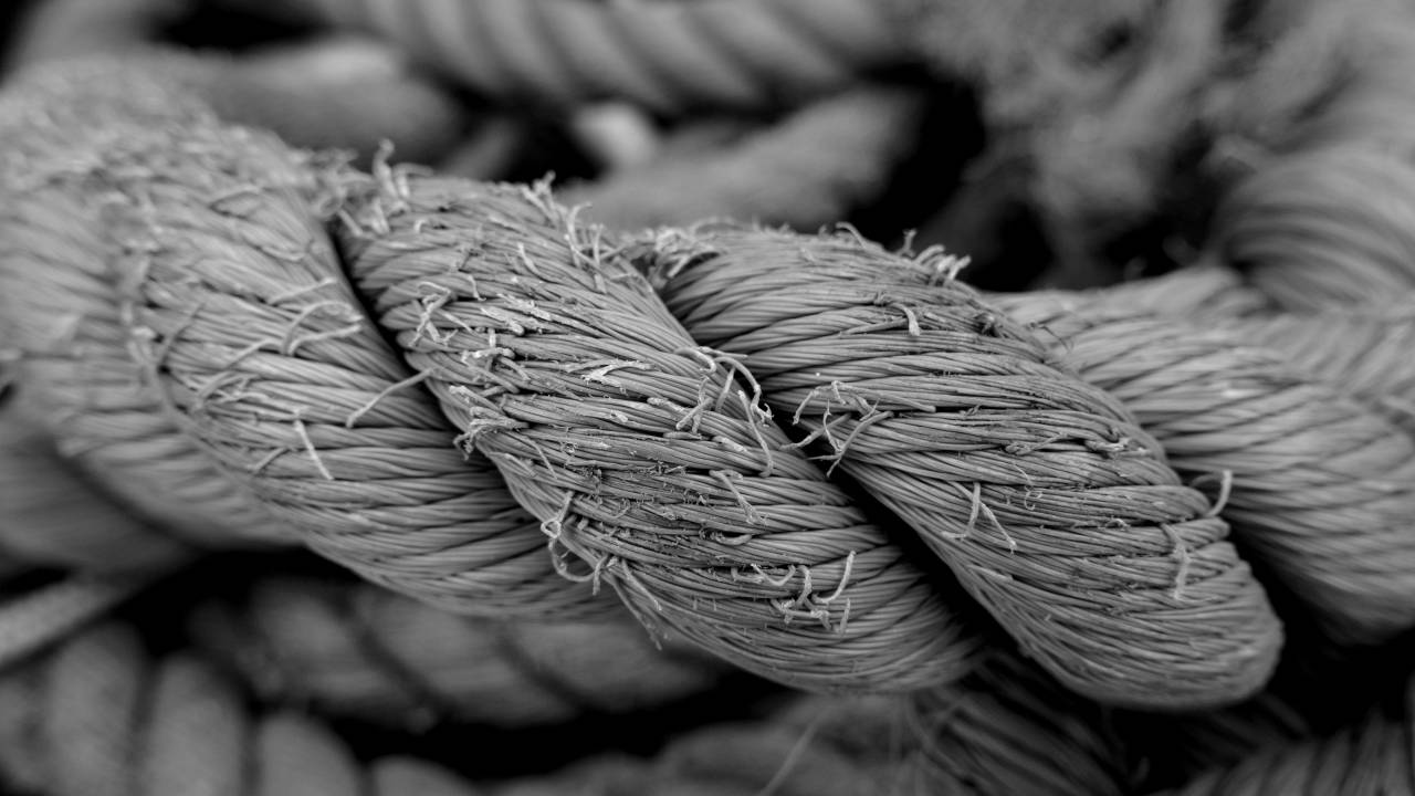   rope  wood  texture  leaf  flower  orange  — free black and white photo