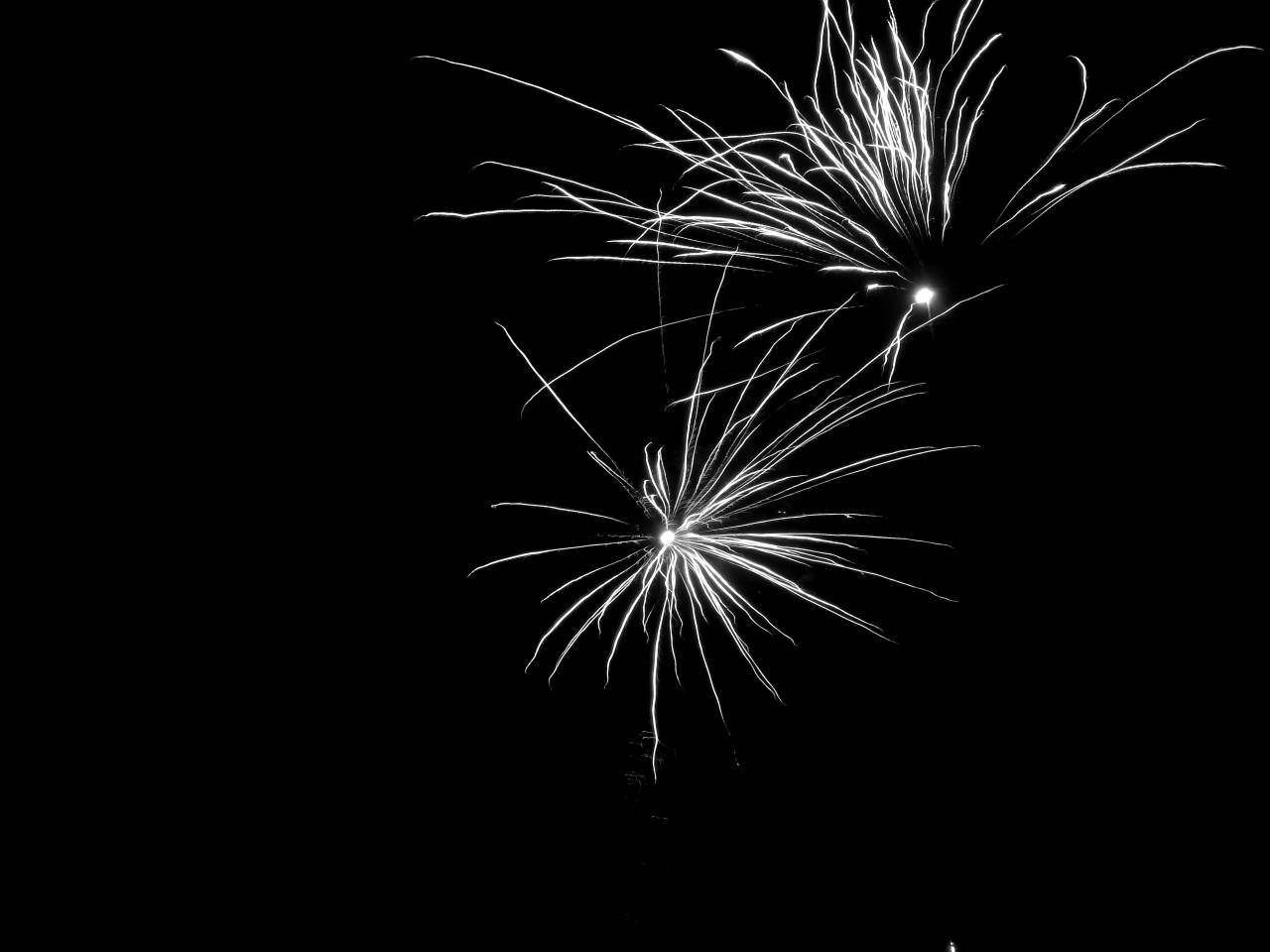  fireworks  illustration  event  new year's  — free black and white photo