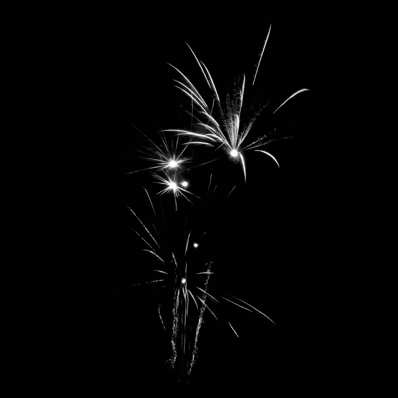   sparkler  red  illustration  event  — free black and white photo