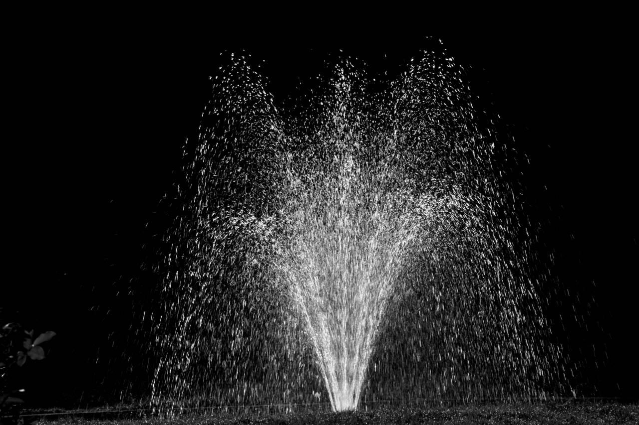   water  nature  drop  light  sun  night  — free black and white photo