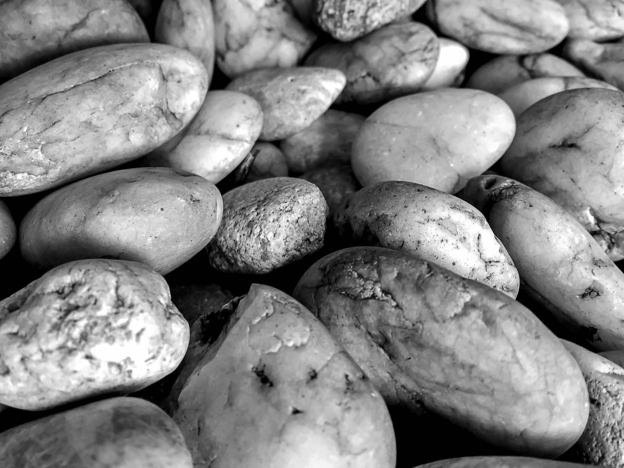   abstract  background  black  brown  closeup  — free black and white photo
