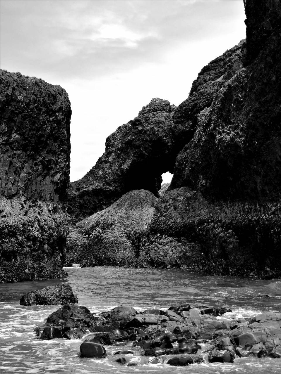   beach  landscape  nature  sand  rock  ocean  — free black and white photo
