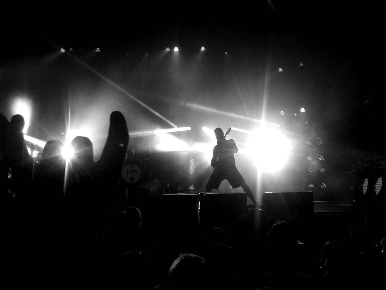   guitar  singer  band  audience  live  — free black and white photo