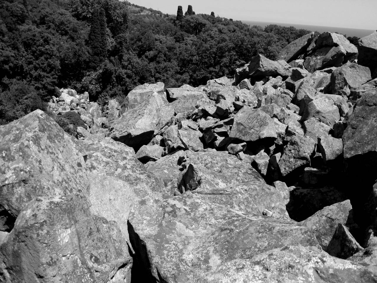   landscape  forest  rock  walking  trail  — free black and white photo
