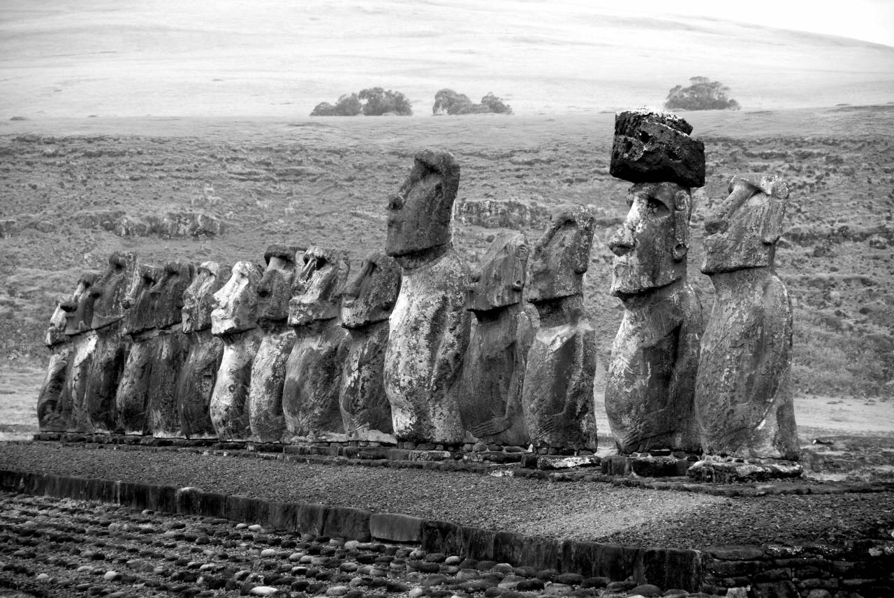   landscape  rock  wilderness  wood  travel  — free black and white photo