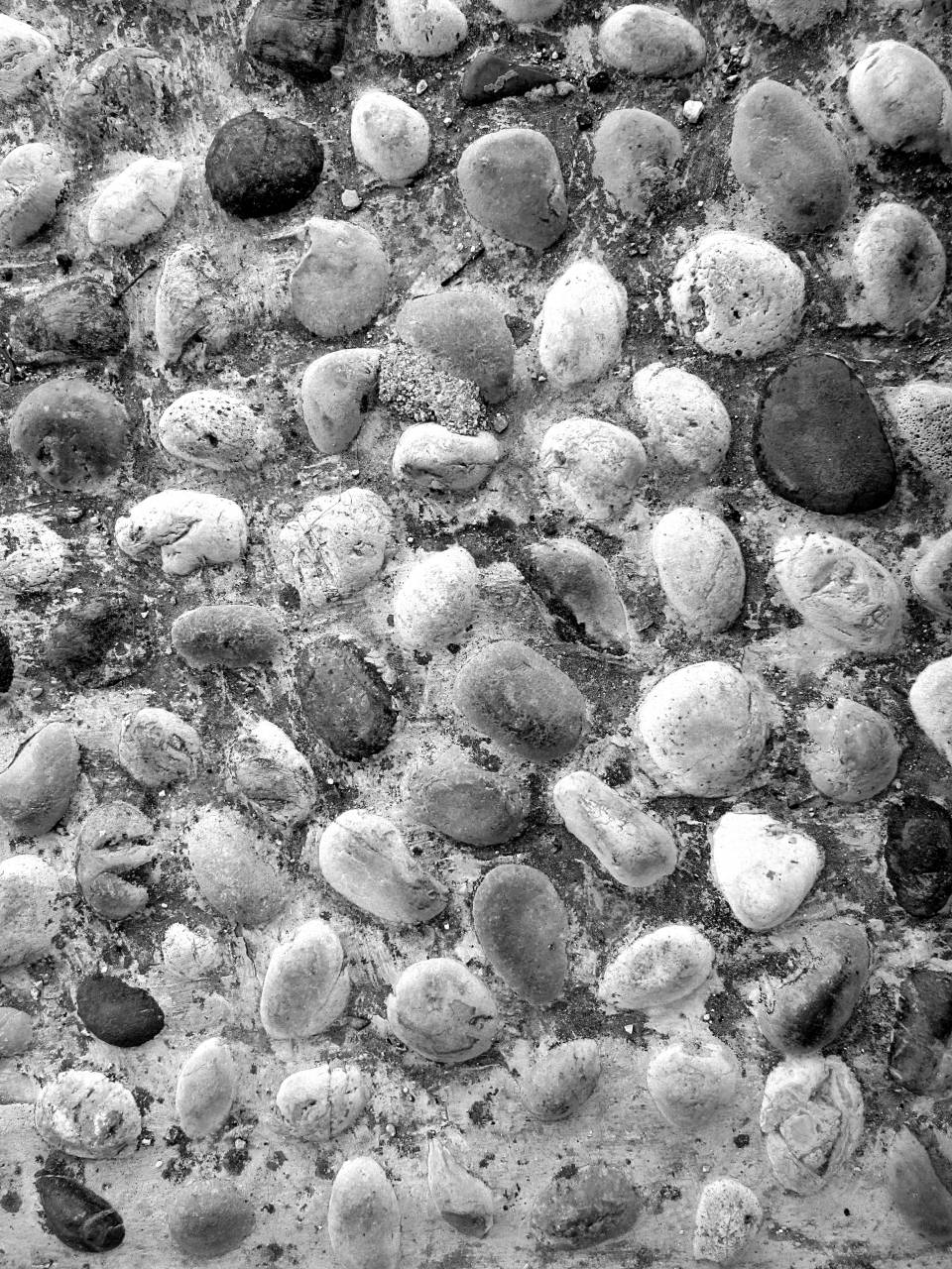   outdoor  rock  black and white  architecture  — free black and white photo