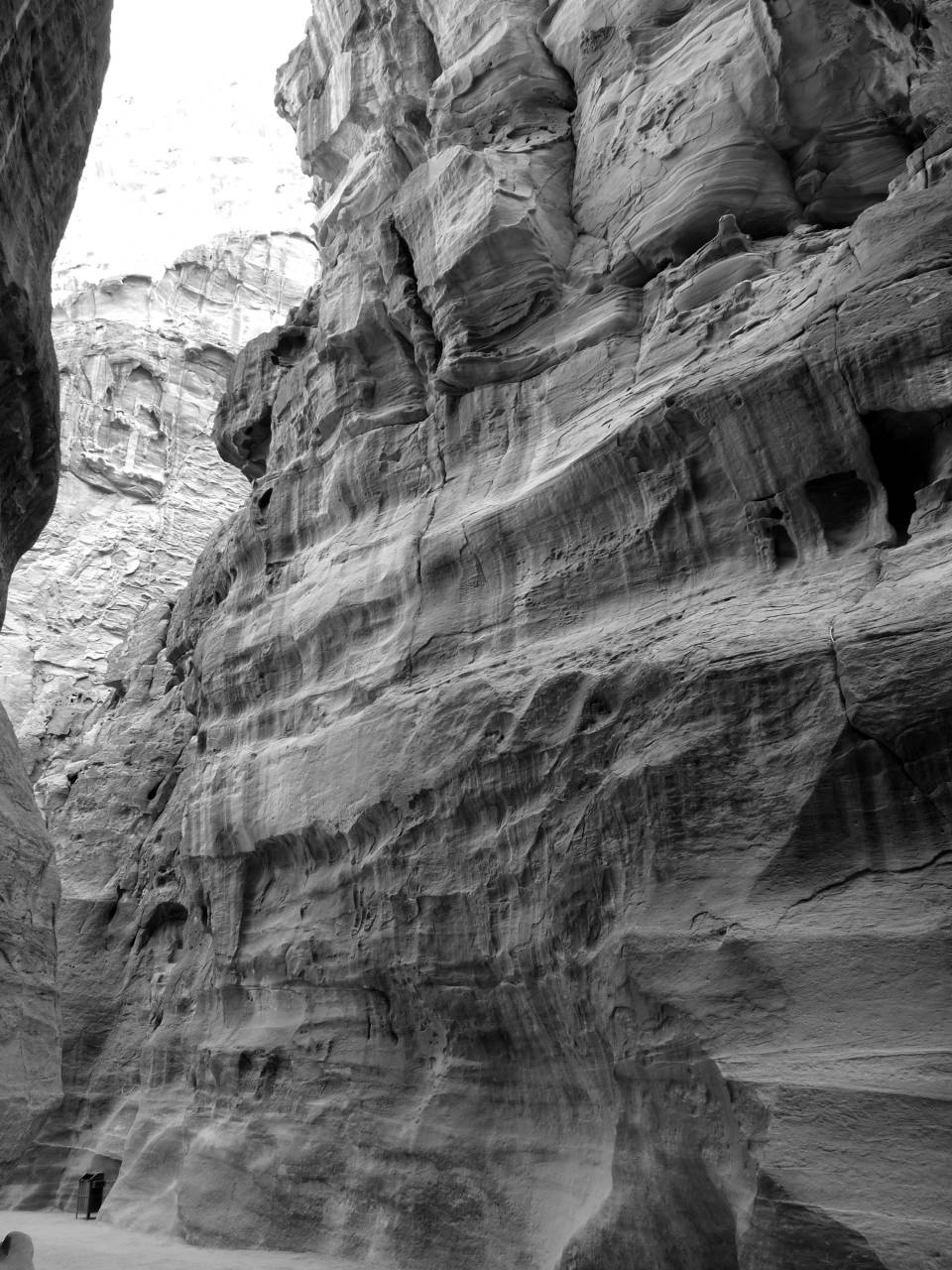   rock  wood  desert  travel  formation  cliff  — free black and white photo
