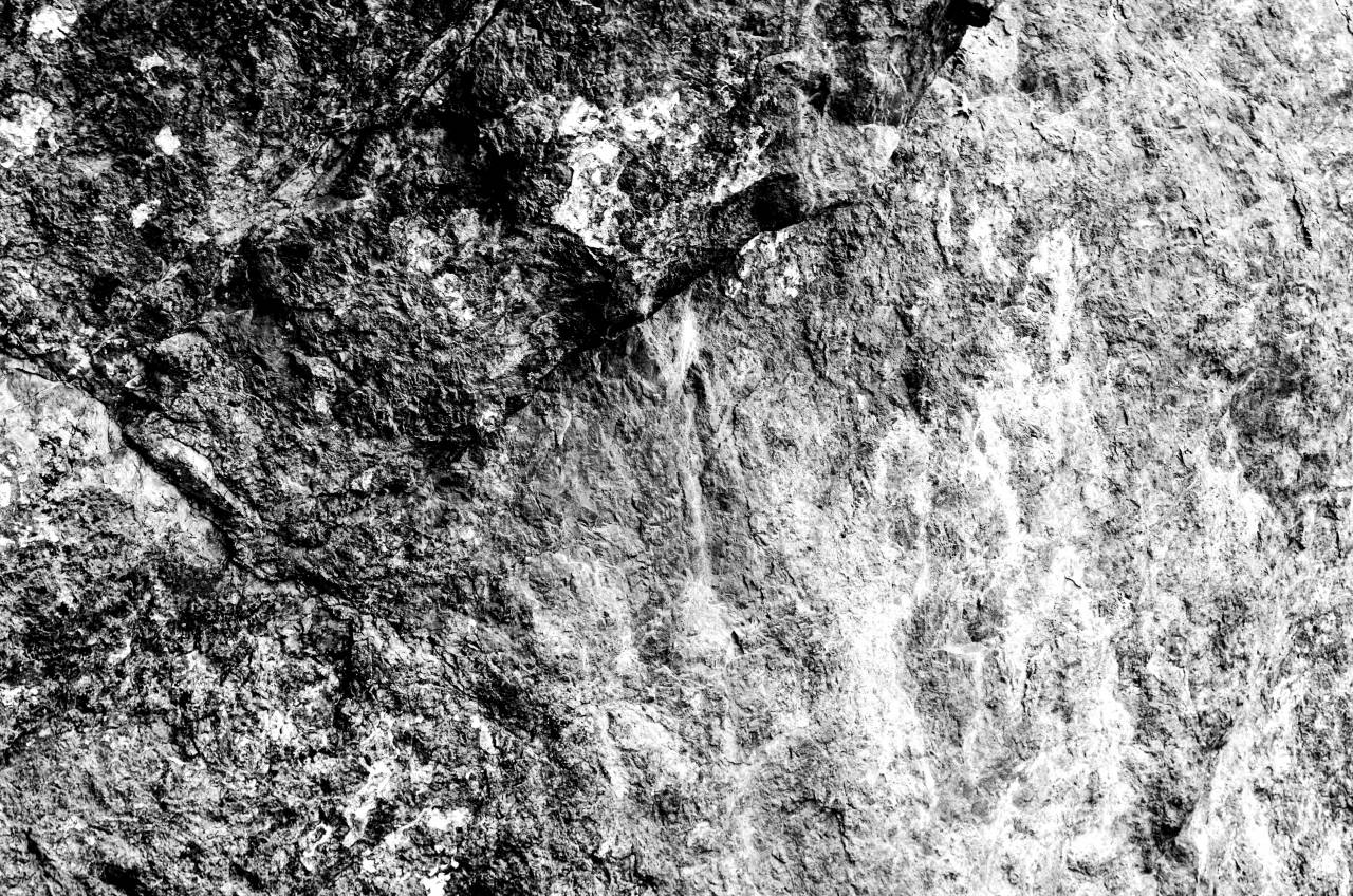   rock  wood  texture  trunk  soil  material  — free black and white photo