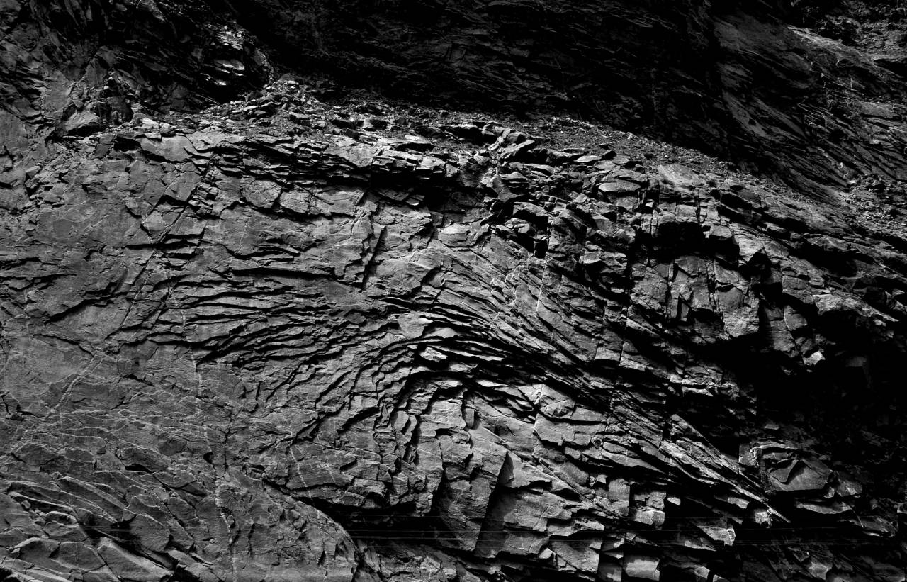   tree  nature  rock  black and white  antique  — free black and white photo