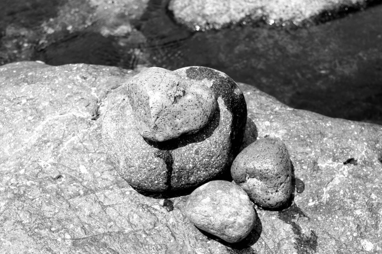   water  nature  rock  stone  food  pebble  — free black and white photo