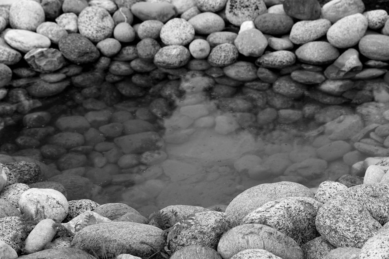   water  rock  pond  pebble  botany  stone  — free black and white photo