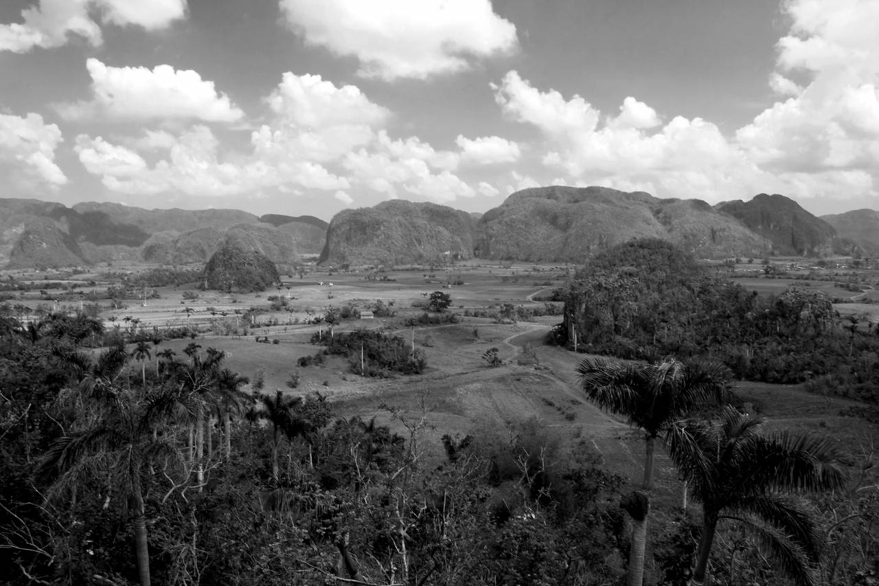 Cuban Landscape  — free black and white photo