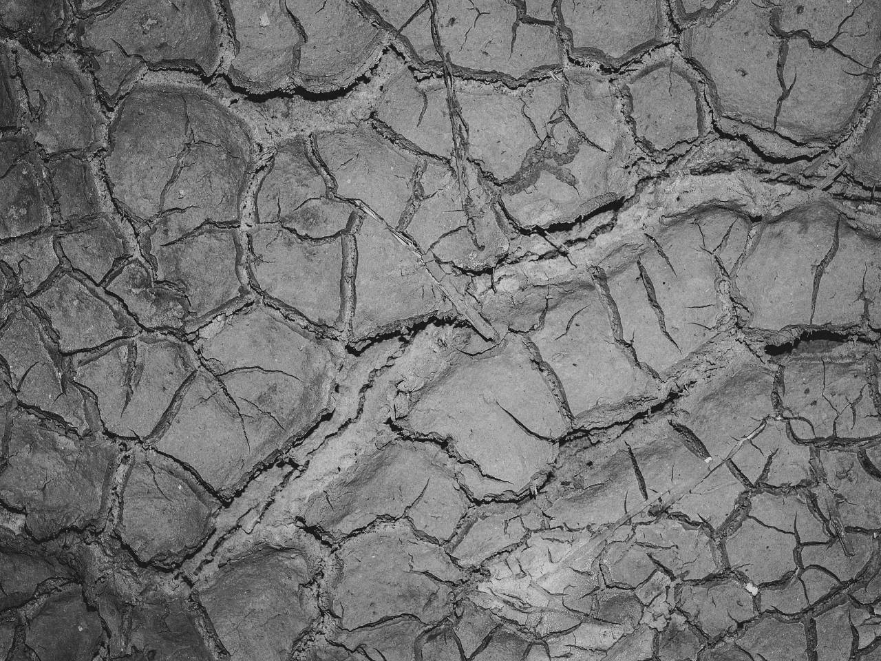  abstract  arid  backdrop  background  brown  — free black and white photo