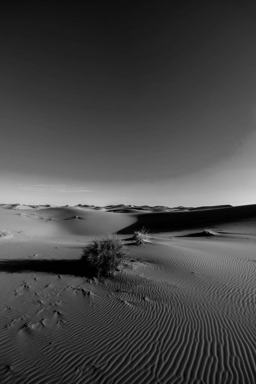   arid  barren  blue sky  clear sky  desert  — free black and white photo
