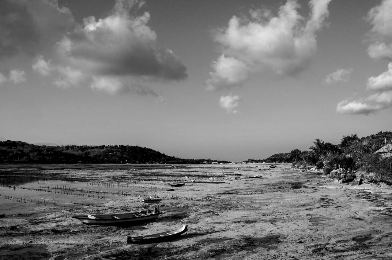   beach  landscape  sea  coast  ocean  horizon  — free black and white photo