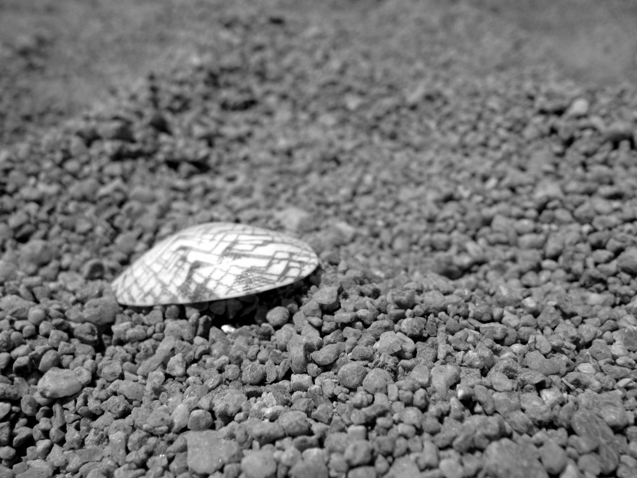   beach  nature  rock  warm  arid  summer  dry  — free black and white photo