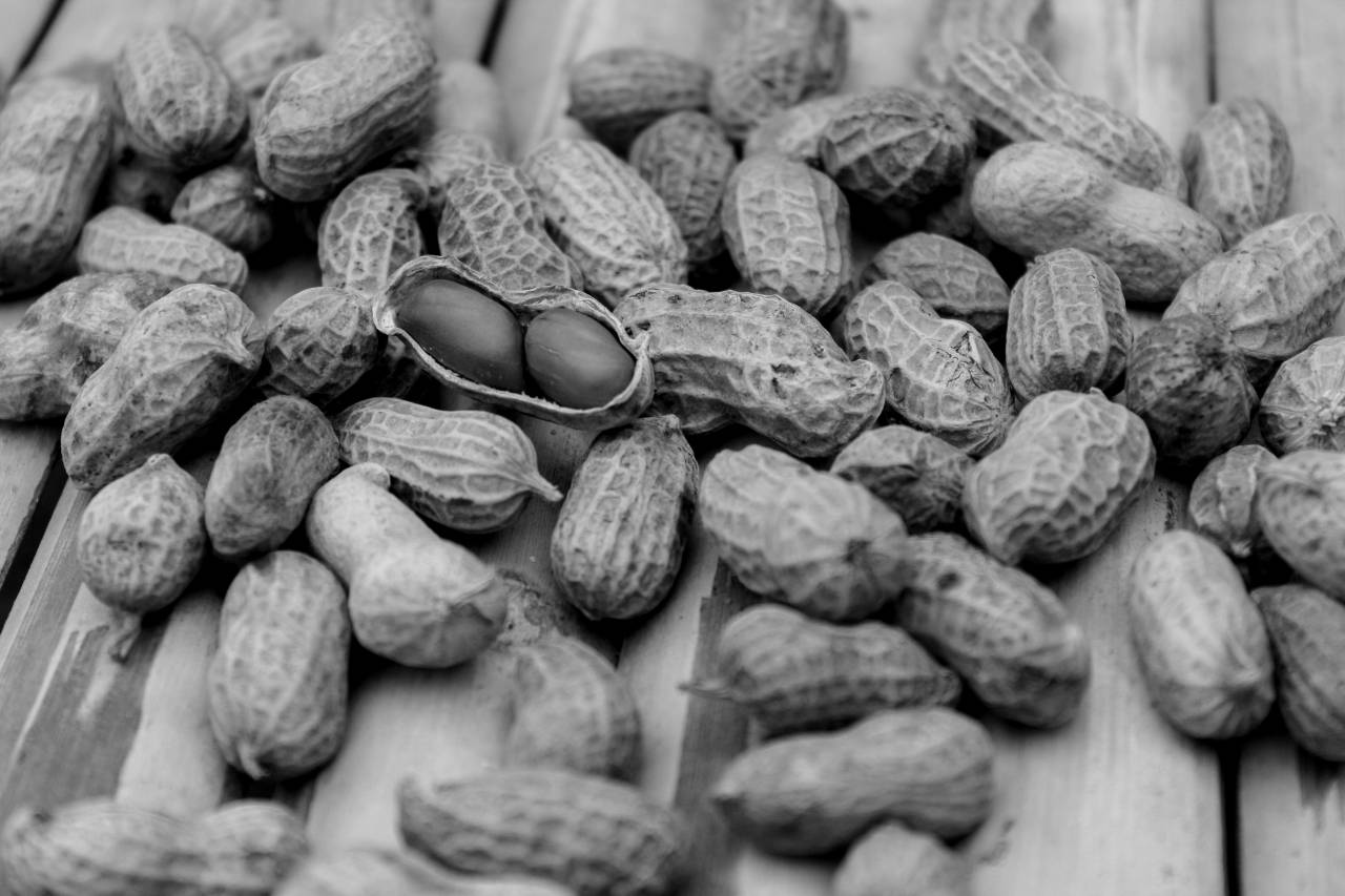   blur  fruit  texture  dry  pattern  food  — free black and white photo