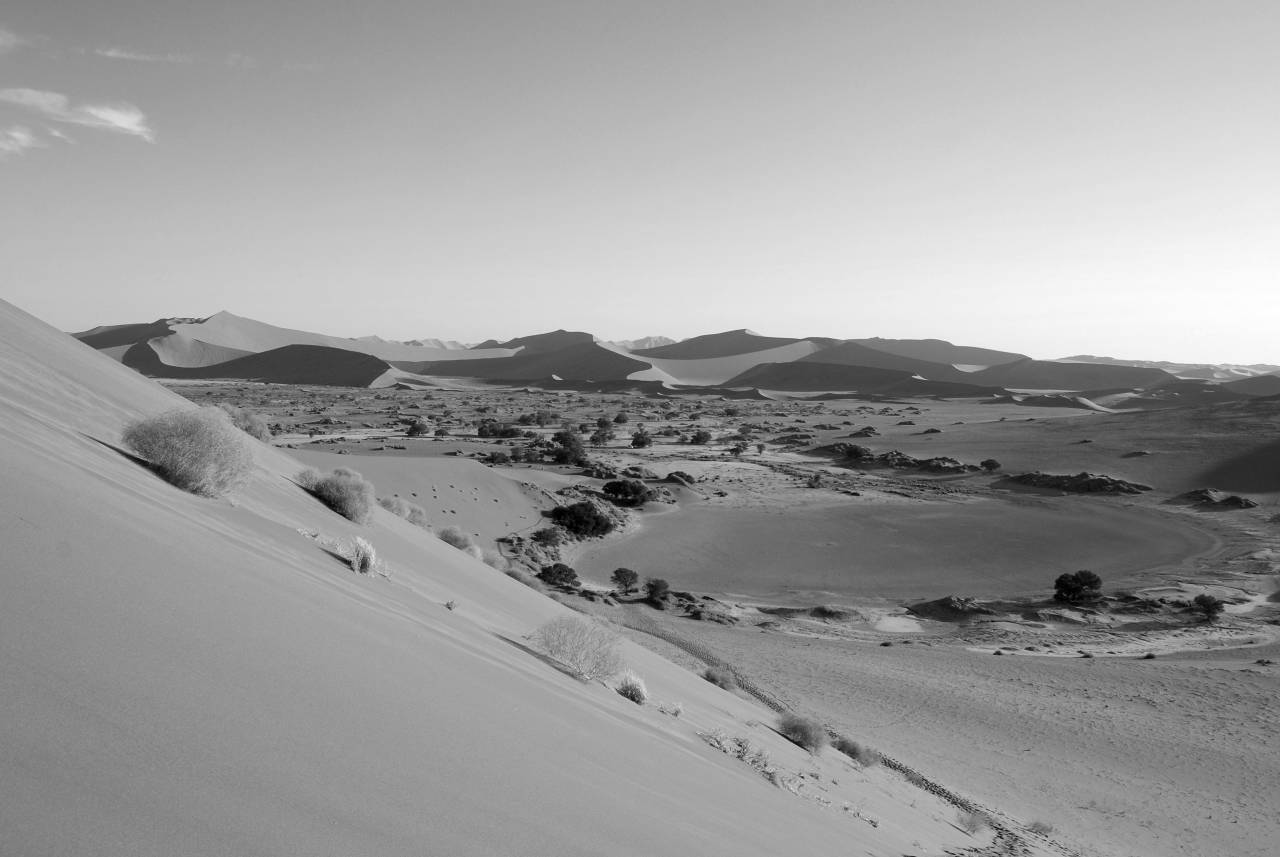   landscape  desert  valley  sand dune  dry  — free black and white photo