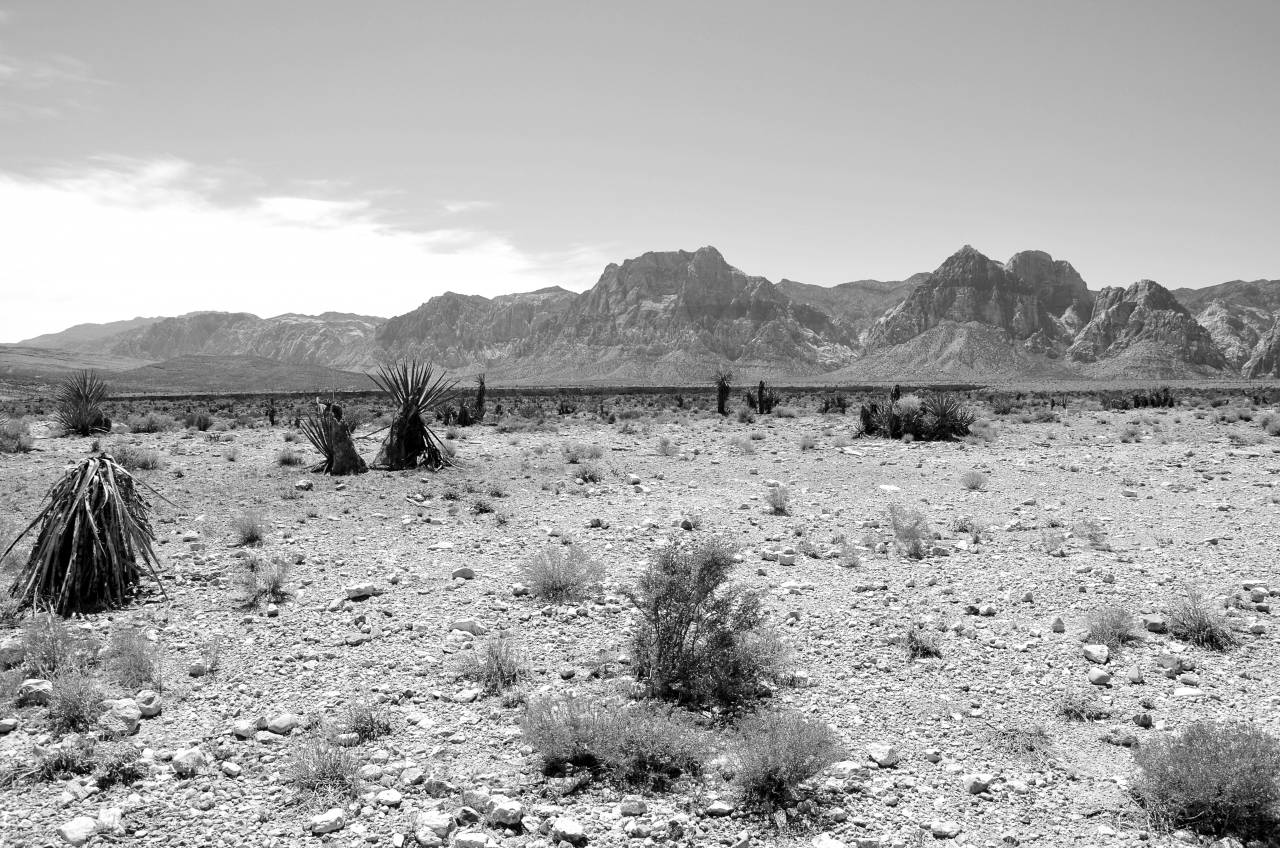   landscape  horizon  wilderness  mountain  — free black and white photo