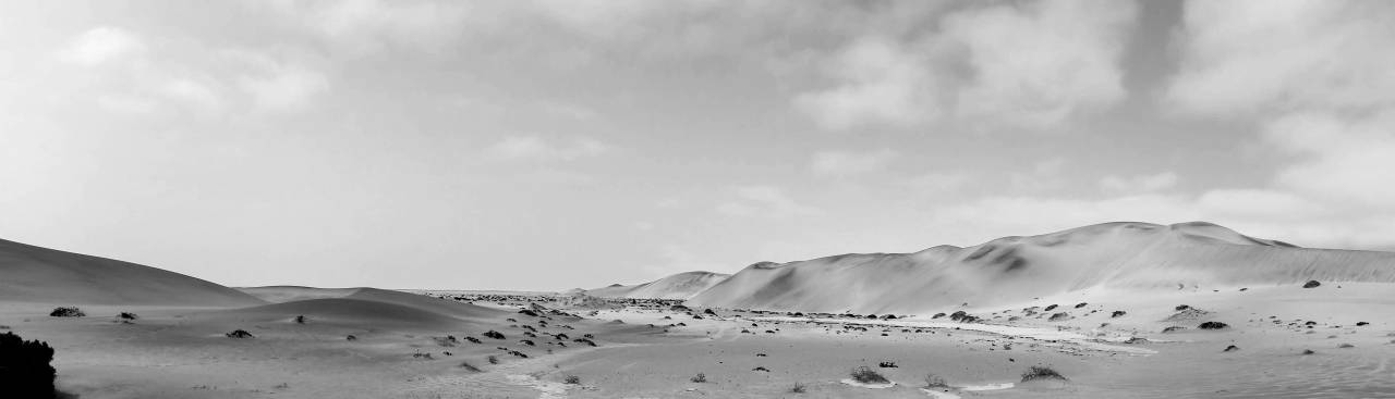   landscape  nature  dry  africa  sandy  — free black and white photo