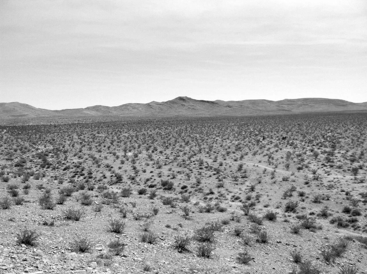   landscape  nature  outdoor  sand  wilderness  — free black and white photo