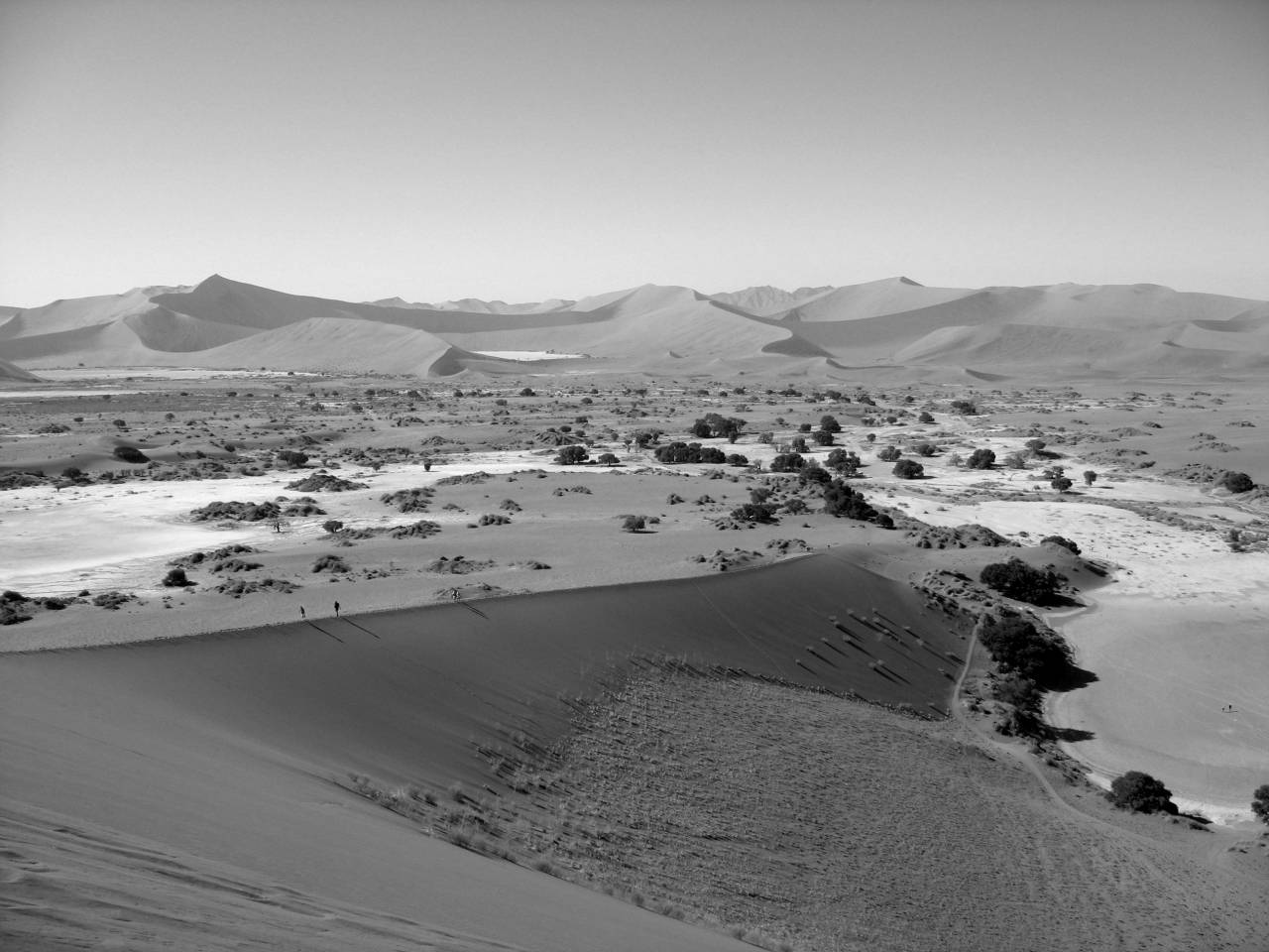   landscape  nature  sand  dune  valley  dry  — free black and white photo