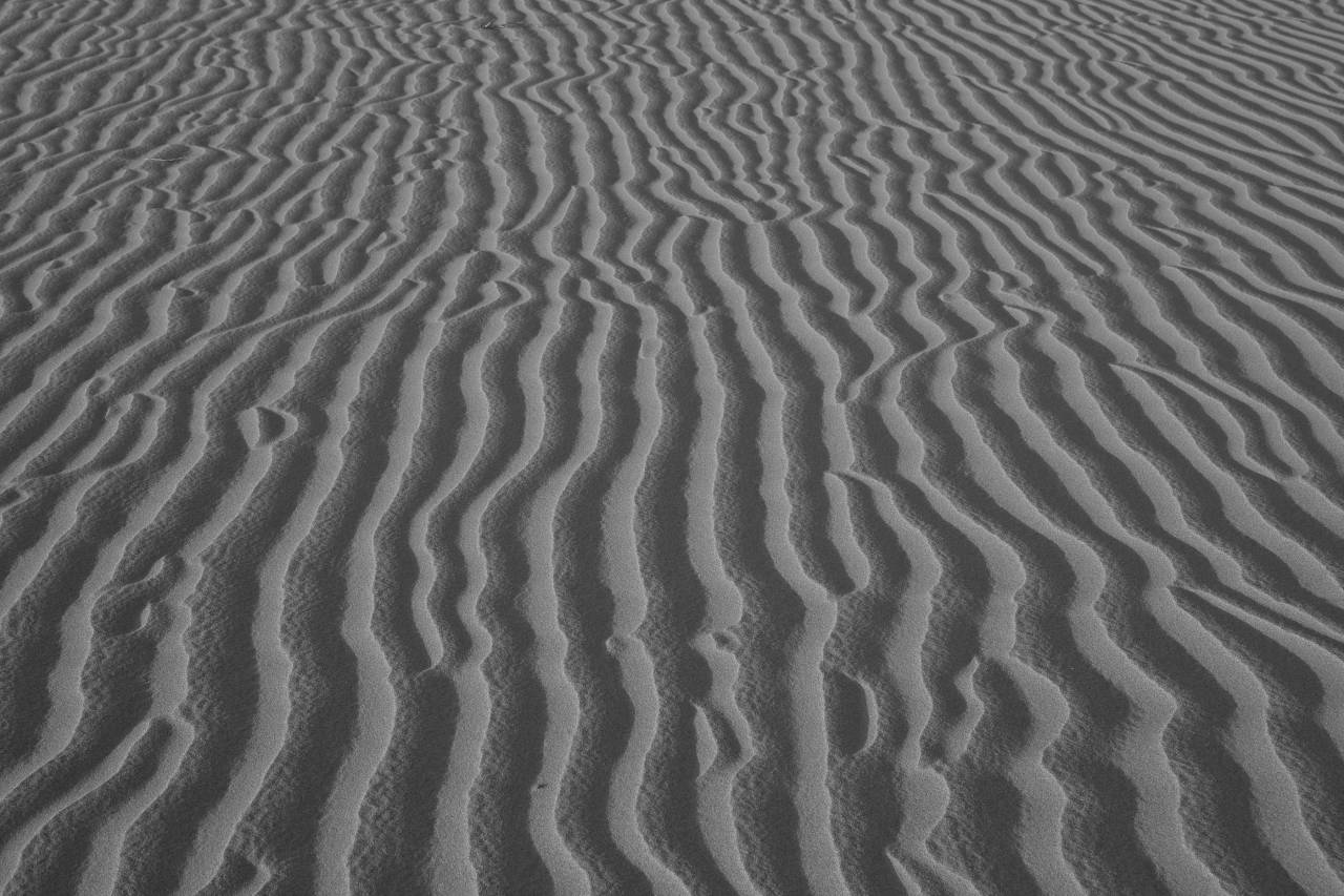   landscape  nature  wilderness  field  desert  — free black and white photo