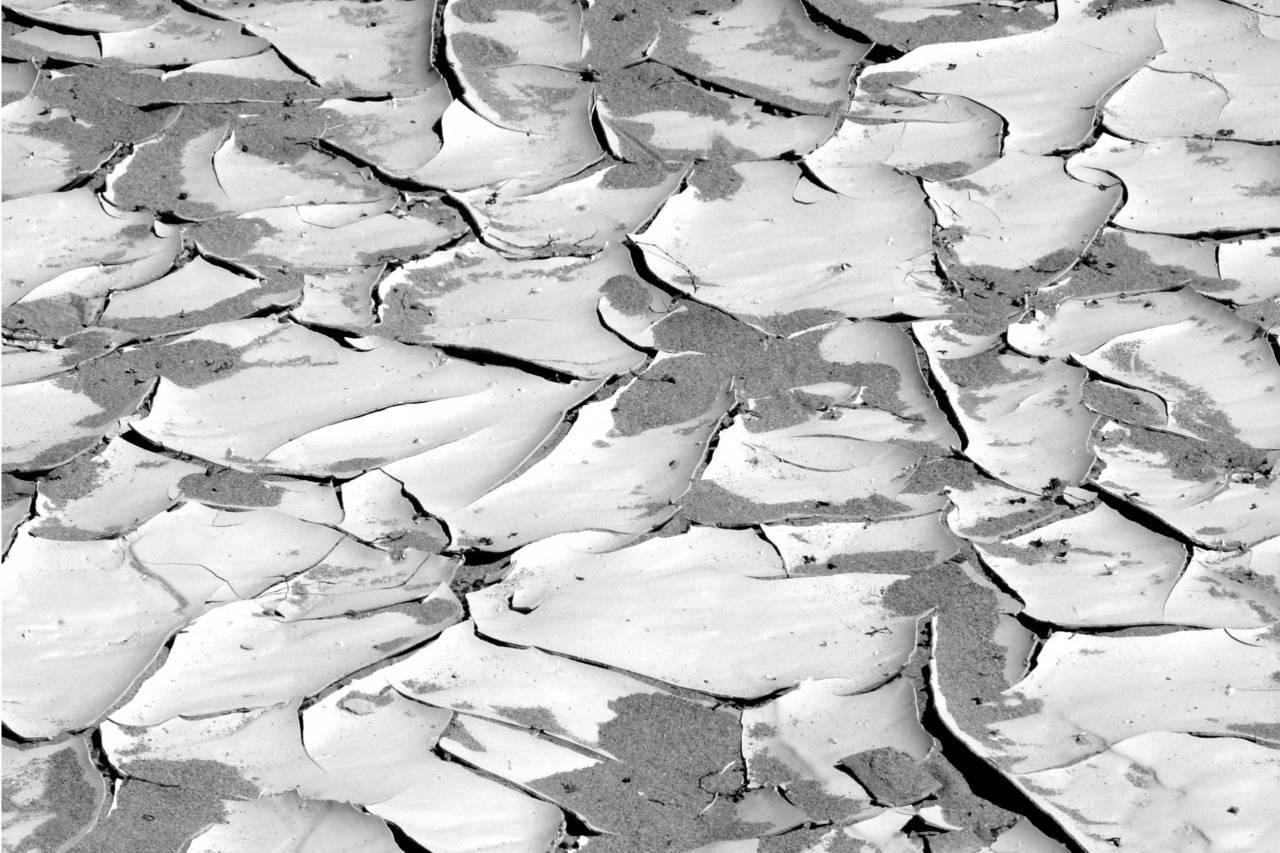   landscape  rock  branch  snow  winter  wood  — free black and white photo