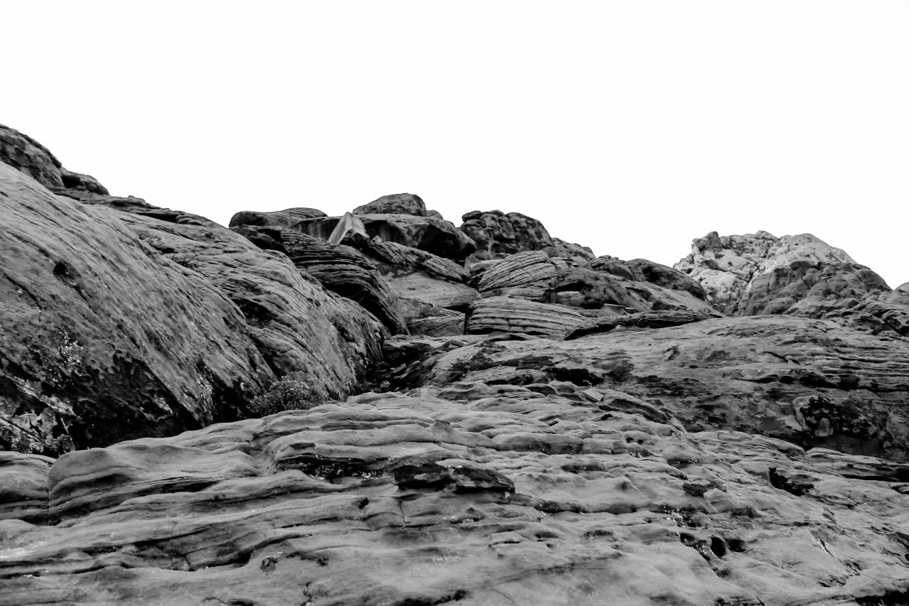   landscape  tree  nature  rock  wilderness  — free black and white photo