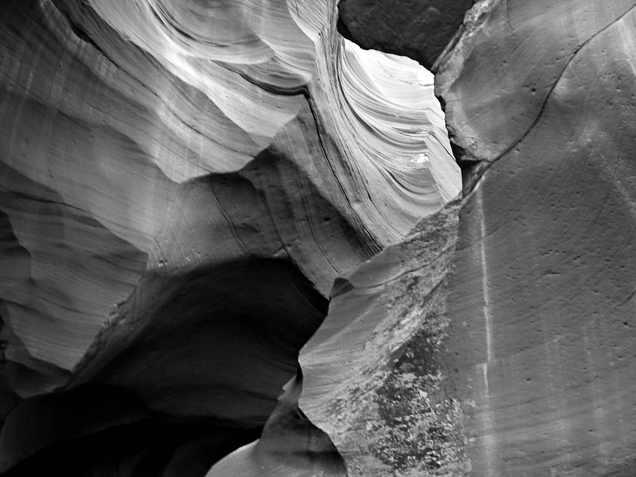   nature  rock  wood  desert  sandstone  — free black and white photo