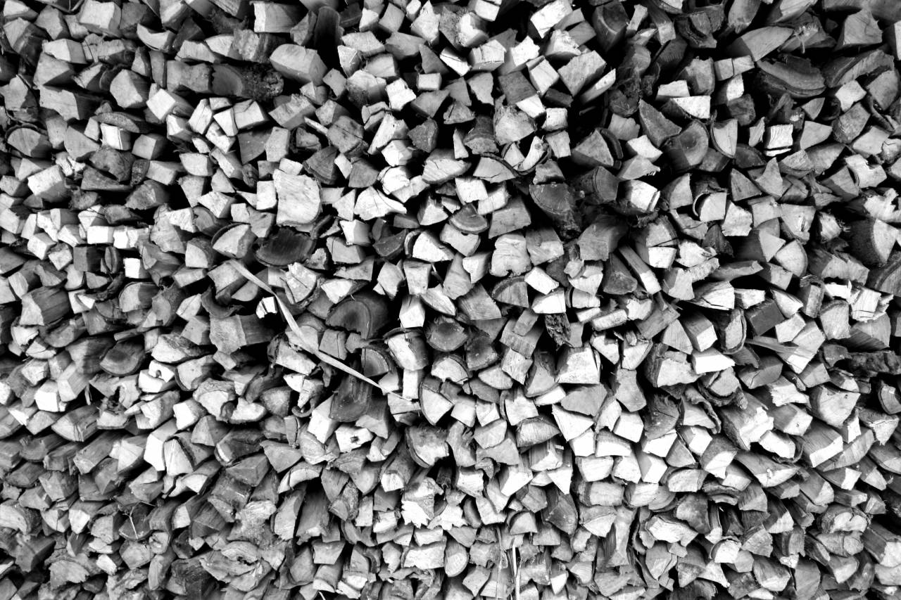   tree  forest  rock  old  dry  pattern  — free black and white photo
