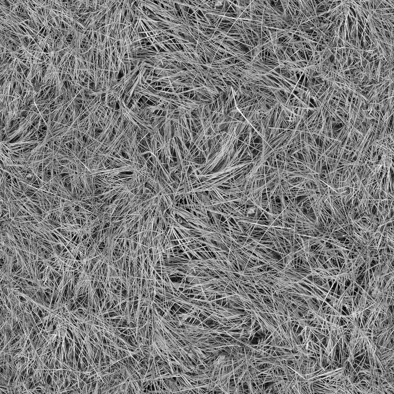   tree  sand  branch  plant  texture  frost  — free black and white photo