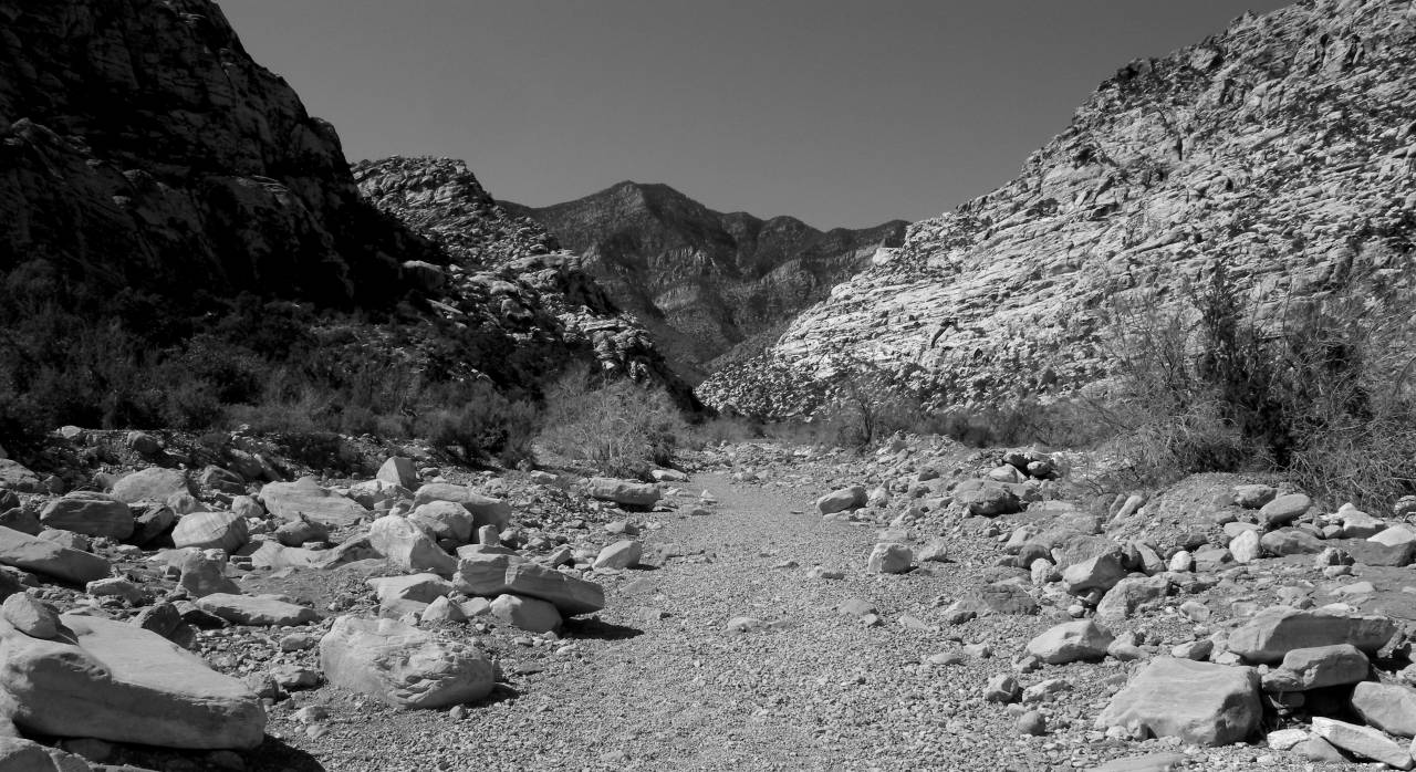   wilderness  walking  trail  arid  desert  — free black and white photo